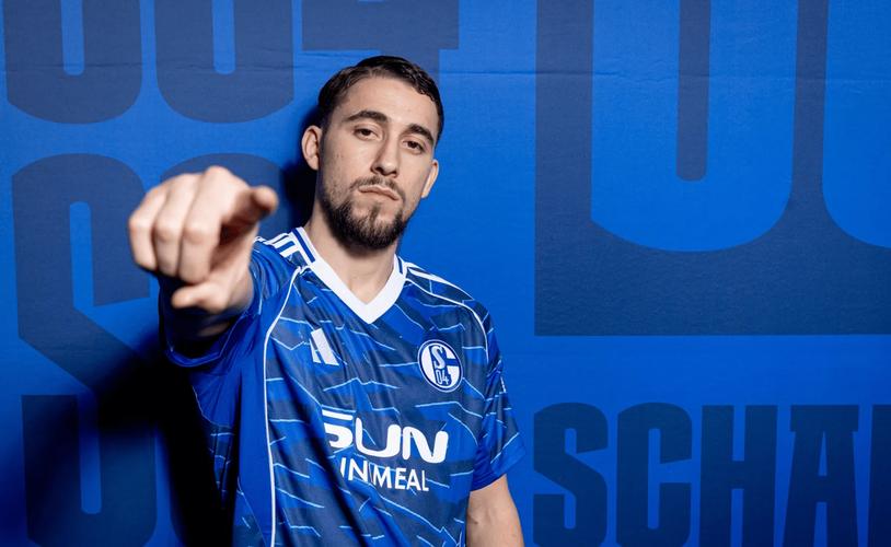 官方:沙尔克04签下桑德兰前锋奥齐奇;据悉转会费为0插图 官方:沙尔克04签下桑德兰前锋奥齐奇;据悉转会费为0插图